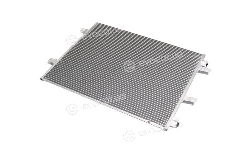 AVA OL5480
