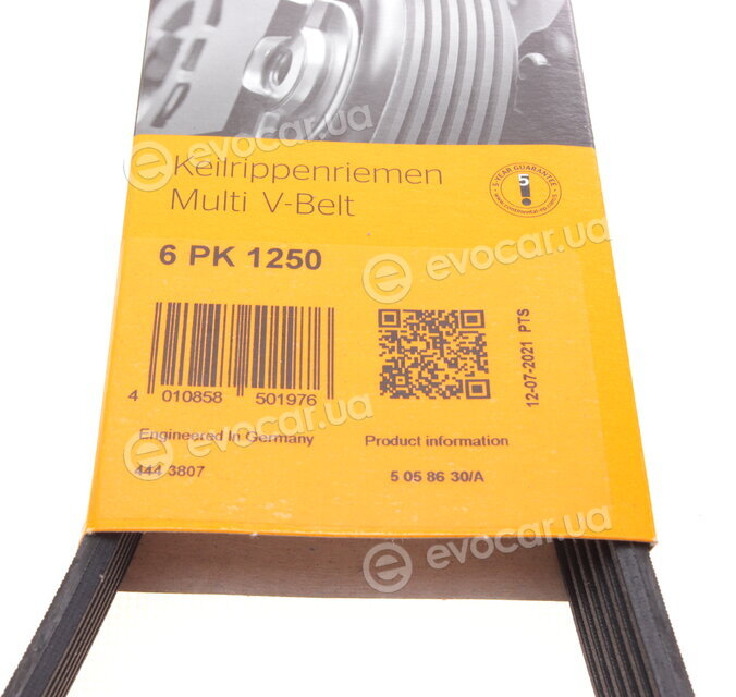 Continental 6PK1250