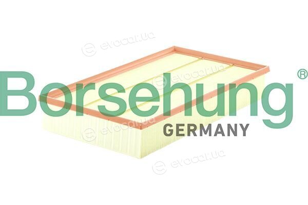 Borsehung B13203