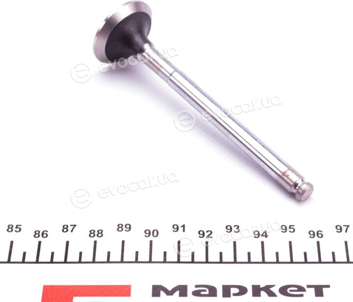 Mahle 007 VA 30681 100