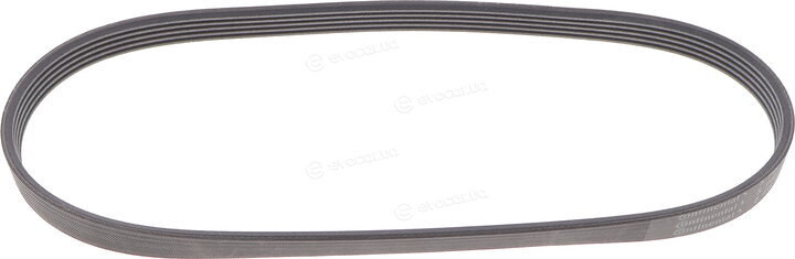 Continental 5PK775 ELAST