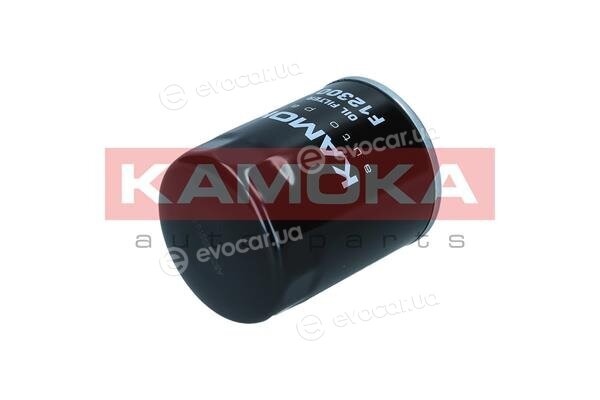 Kamoka F123001