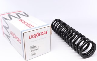 Lesjofors 4056810