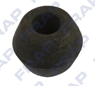 Frap FSB21561