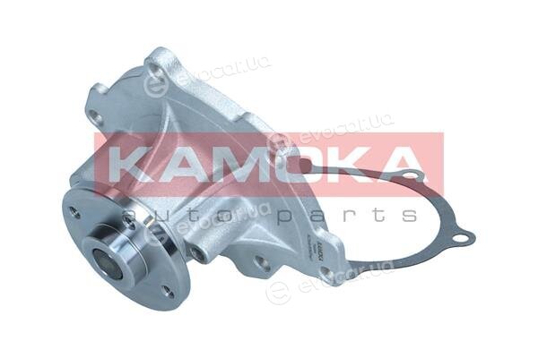 Kamoka T0294