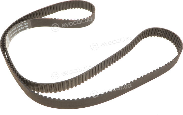 Gates K015557XS