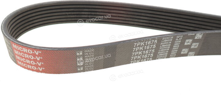 Gates 7PK1675
