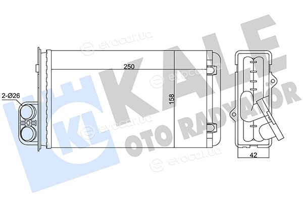 Kale 346305