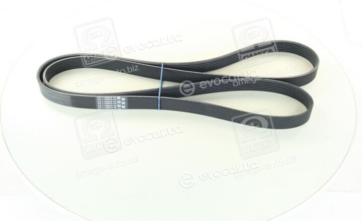 Continental 7PK2061