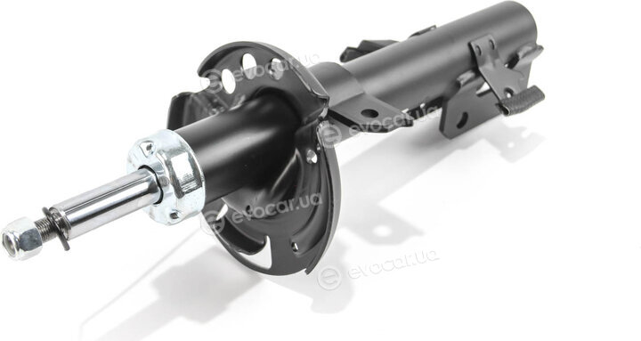 Raiso RS315867