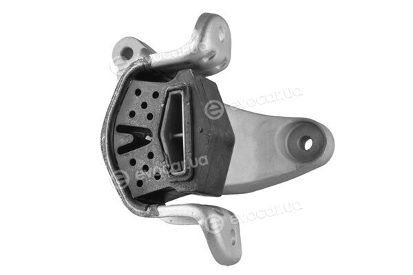 Tedgum TED39037