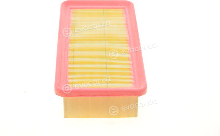 Solgy 103103