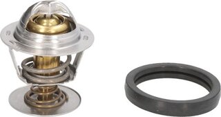 Mahle TX 173 88D