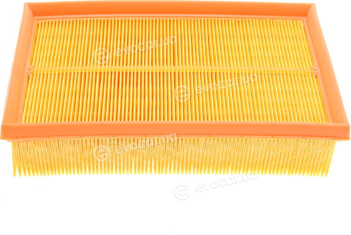 Mann C 24 041