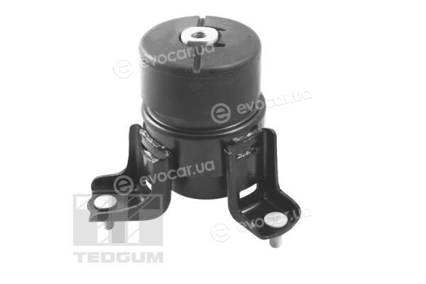 Tedgum TED62860