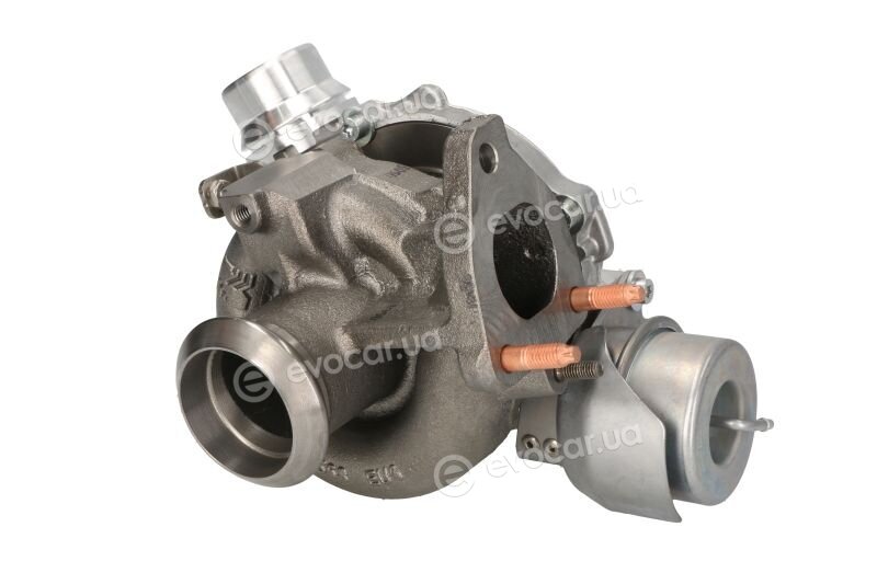 BorgWarner 16359880029