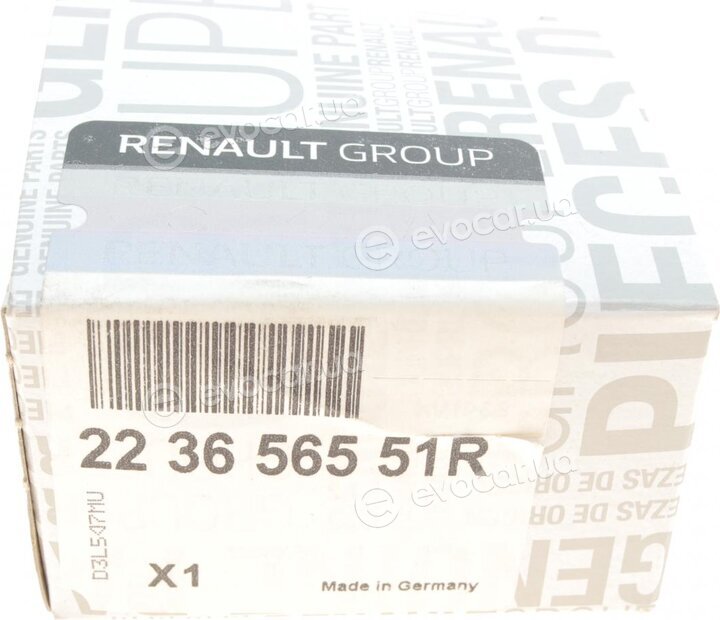 Renault / Nissan 223656551R