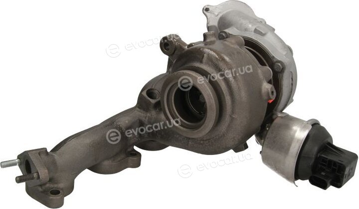 BorgWarner 53039880205/R