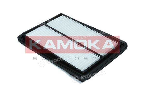 Kamoka F247601