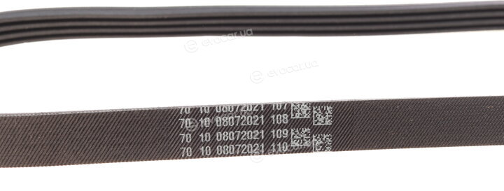 Continental 4PK850 ELAST