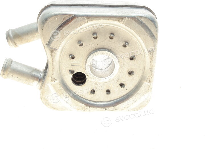 Van Wezel 58003147