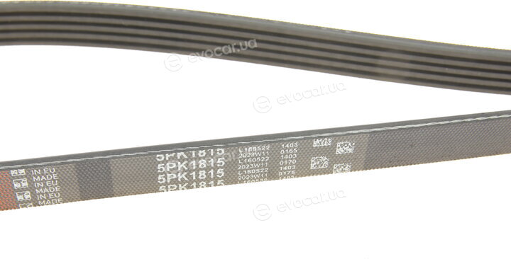 Gates 5PK1815