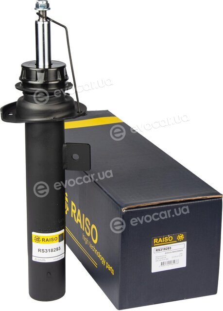 Raiso RS318293