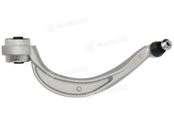 Reinhoch RH04-0095