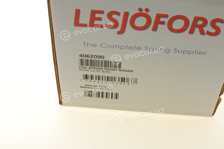 Lesjofors 4062090