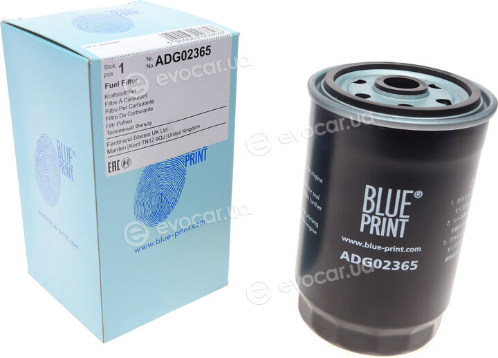 Blue Print ADG02365