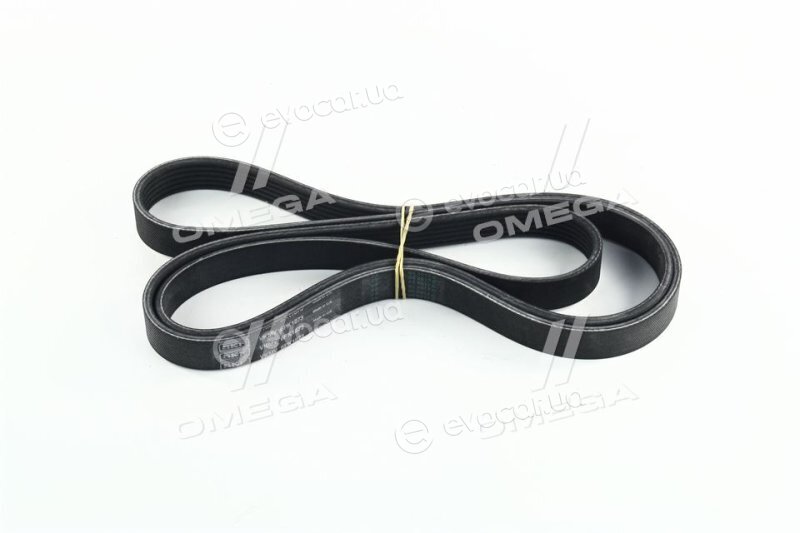 SKF VKMV 6PK1873