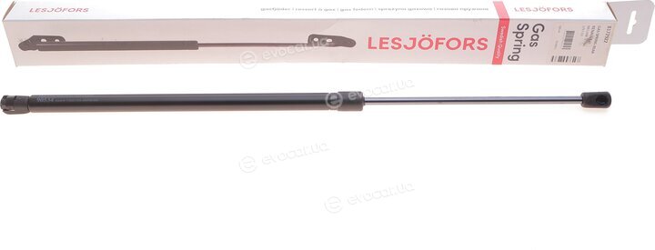 Lesjofors 8172922
