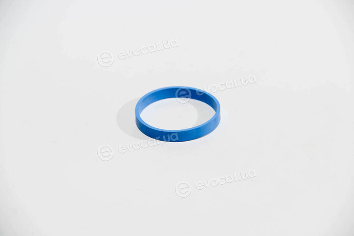 Elring 520.850