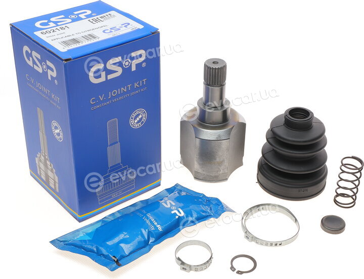 GSP 602181