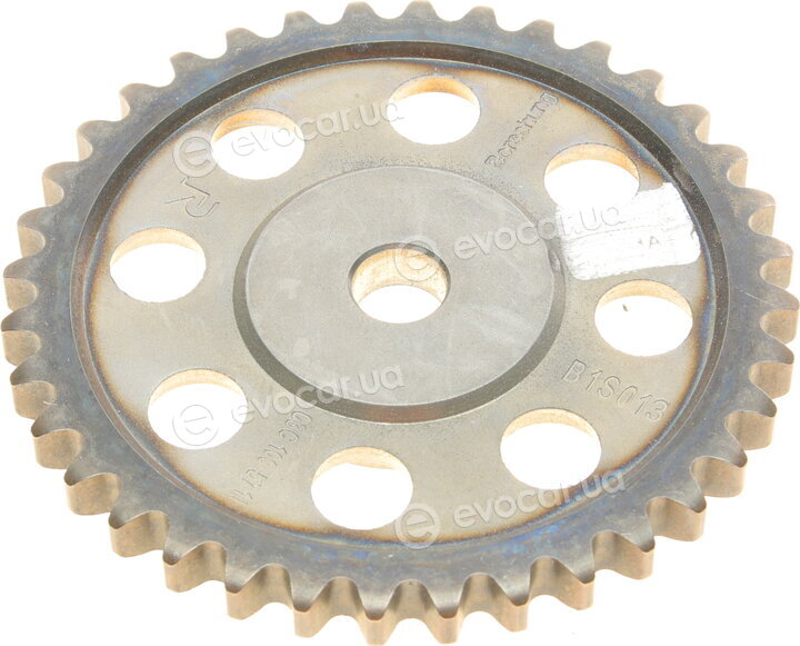 Borsehung B16299