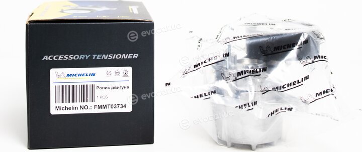 Michelin FMMT03734