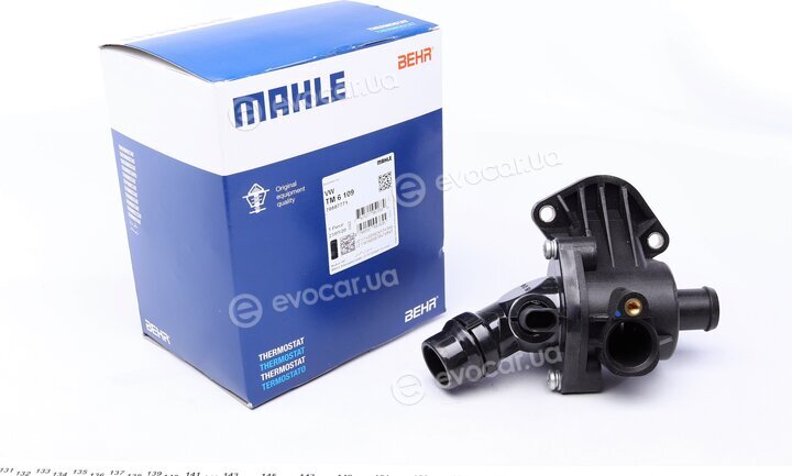 Mahle TM 6 109