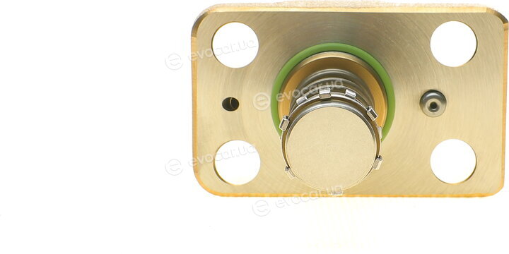Bosch F 01M 100 869