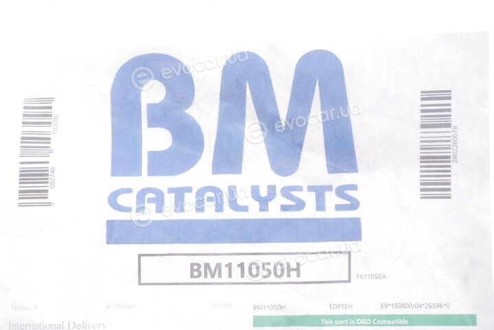 BM Catalysts BM11050H