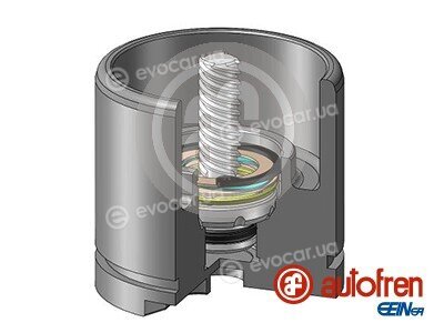 Autofren D025256LK