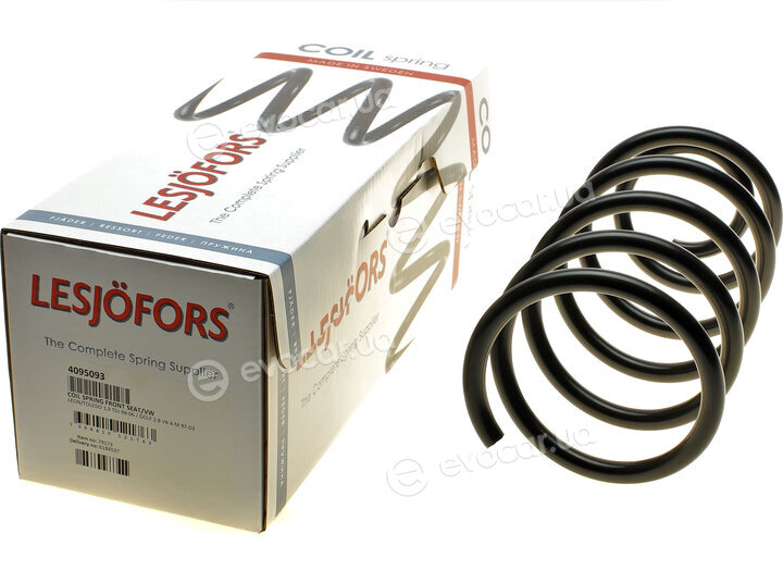 Lesjofors 4095093