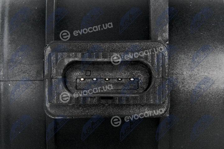 NTY EPP-AU-024