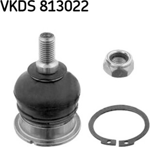 SKF VKDS 813022
