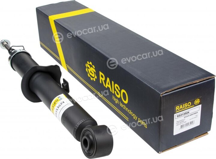 Raiso RS313524