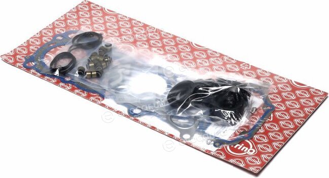 Elring 382.500
