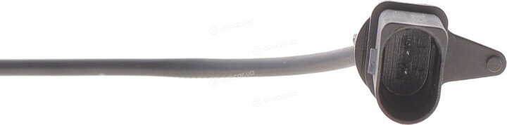 Solgy 402020