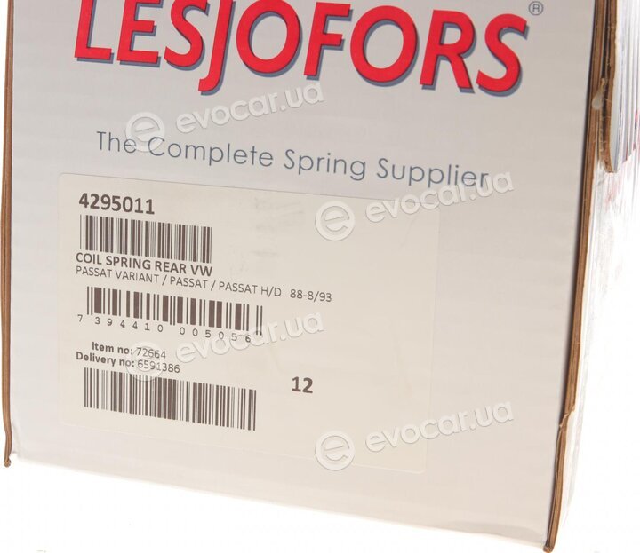 Lesjofors 4295011