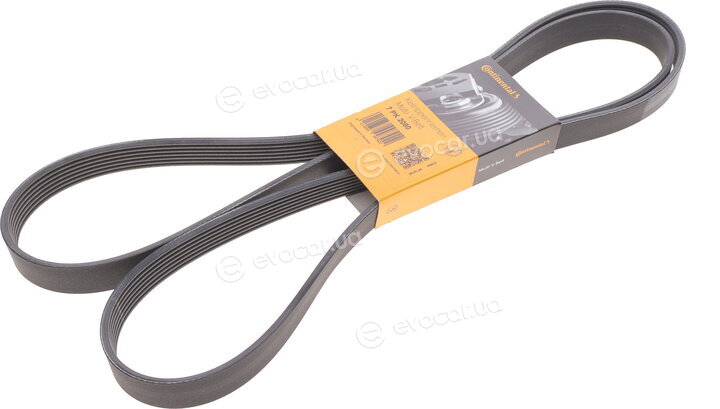 Continental 7PK2080