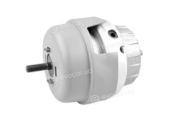 Tedgum TED86930