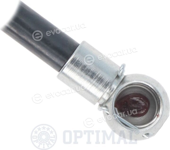 Optimal AG-50538